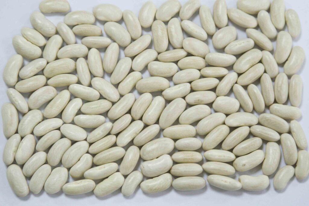 Desi Chickpea